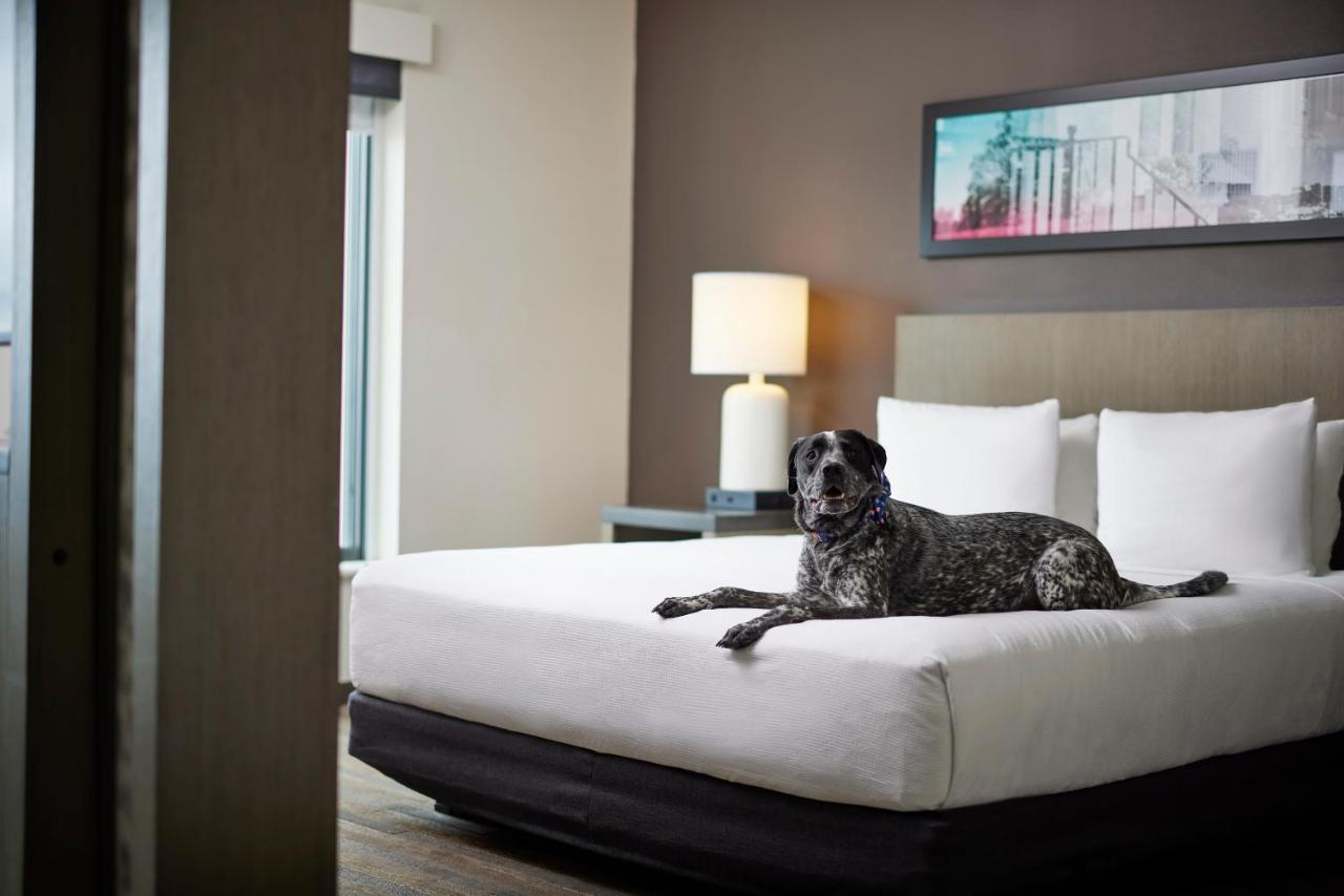 Hyatt House Denver/Downtown Екстер'єр фото