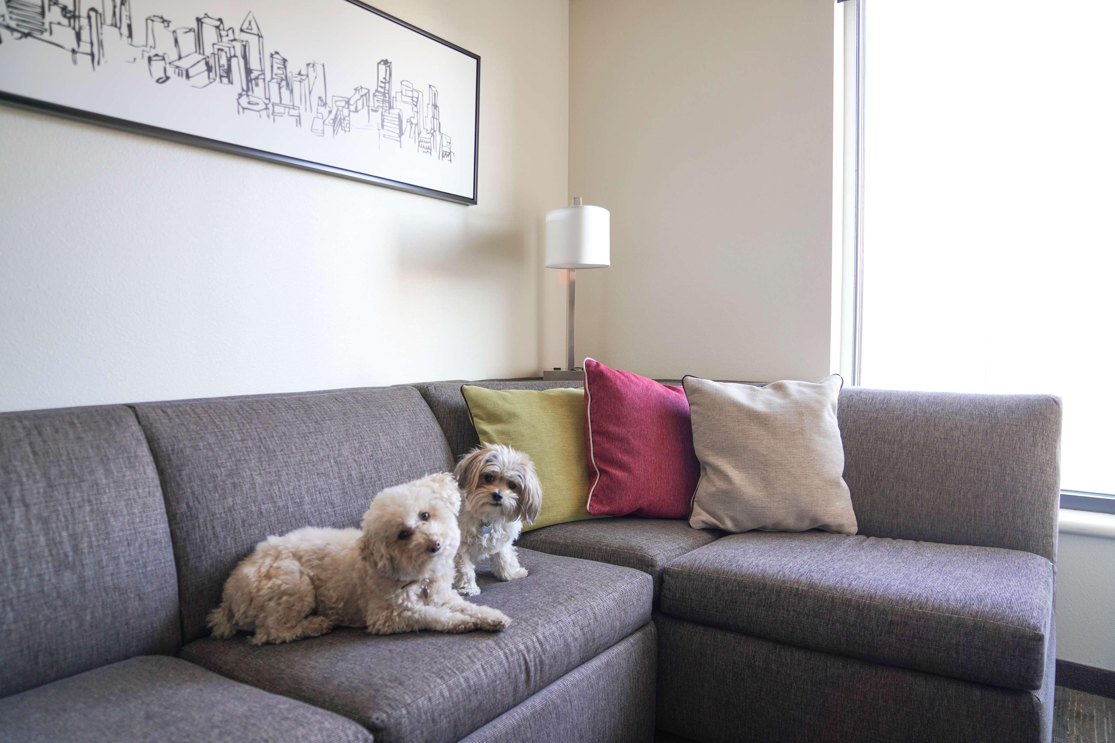 Hyatt House Denver/Downtown Екстер'єр фото